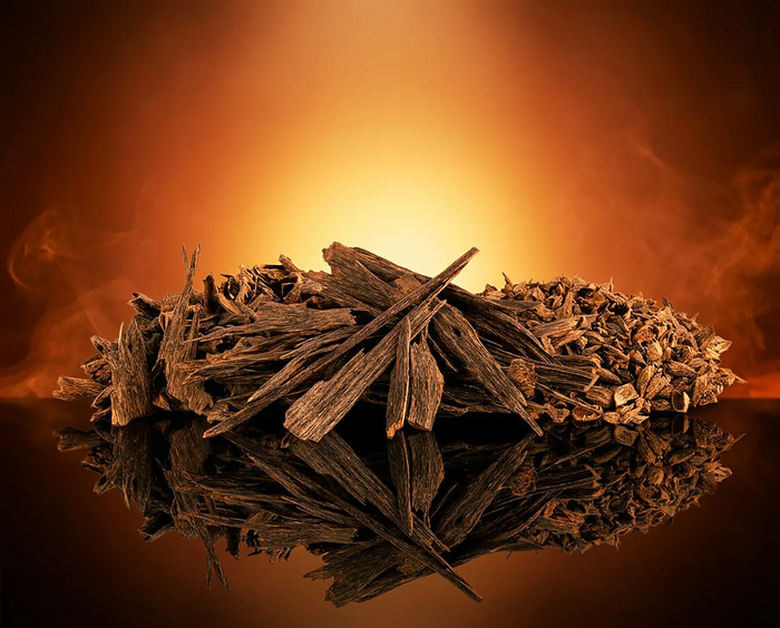 عود